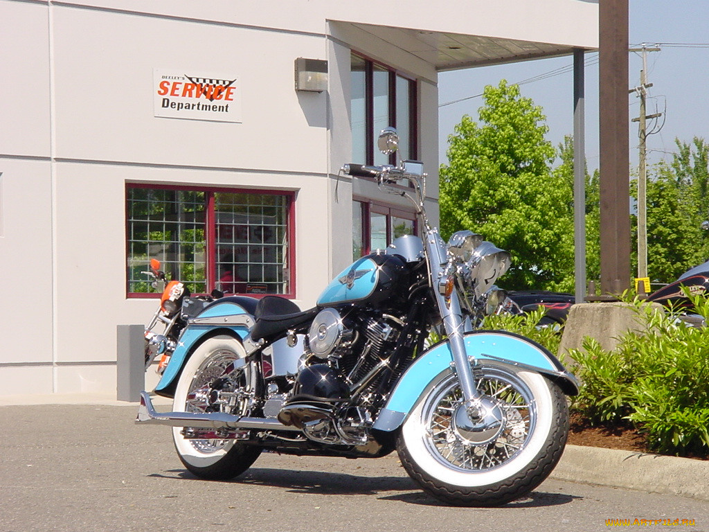 , harley, davidson
